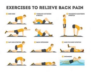 exercise-set-relieve-back-pain-stretching-training